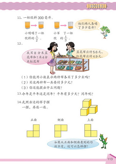 12 整理与复习(第113页)