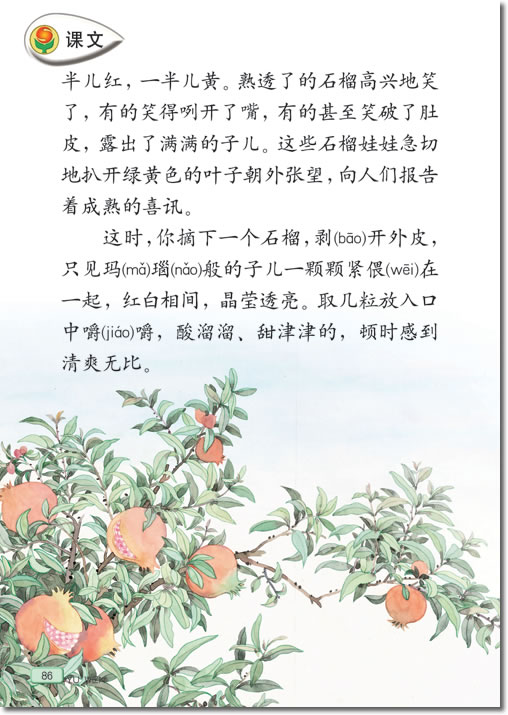 16 石榴(第86页)