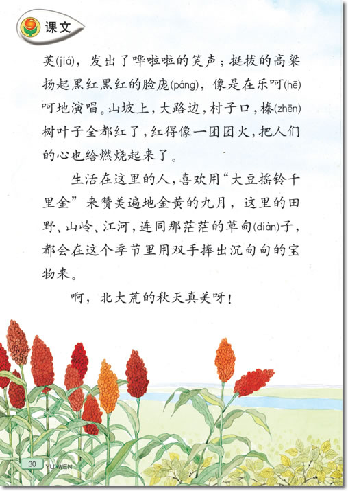 5 北大荒的秋天(第30页)