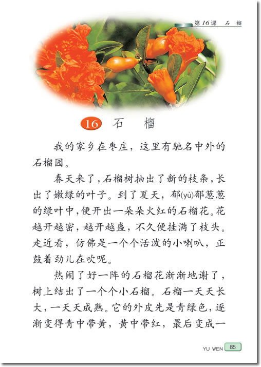16 石榴(第85页)