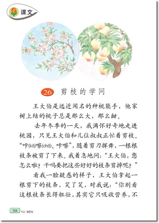 26 剪枝的学问(第144页)