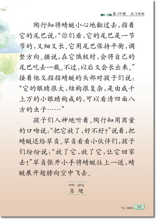 19 放飞蜻蜓(第107页)