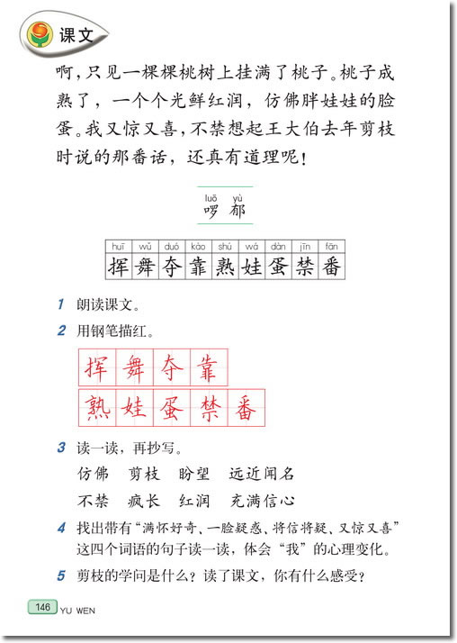 26 剪枝的学问(第146页)