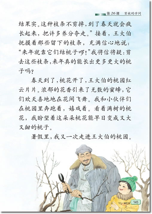 26 剪枝的学问(第145页)