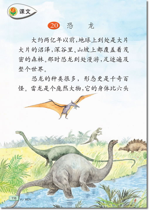 20 恐龙(第116页)