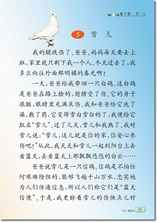 5 雪儿(第27页)