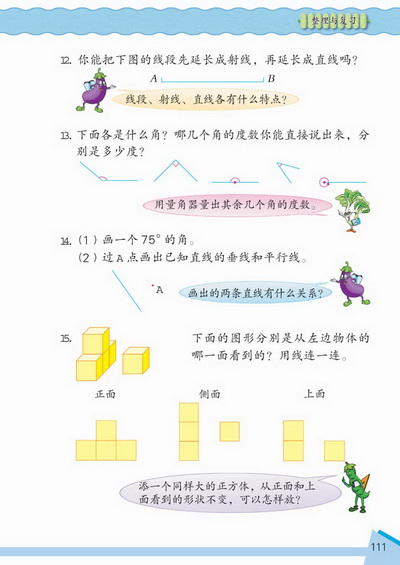 12 整理与复习(第111页)