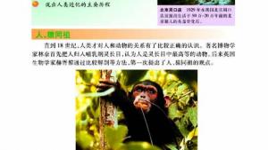苏教版八年级生物下册(旧版)电子课本-苏教版初二生物下册(旧版)电子课本第四节 人类的起源和进化(第79页)