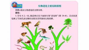 苏教版八年级生物下册(旧版)电子课本-苏教版初二生物下册(旧版)电子课本第二节 生物进化的历程(第69页)