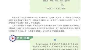 苏教版高一化学2电子课本第二单元 食品中的有机化合物(第78页)