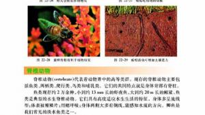 苏教版八年级生物下册(旧版)电子课本-苏教版初二生物下册(旧版)电子课本第三节 千姿百态的动物世界(第38页)