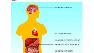 苏教版八年级生物上册(旧版)电子课本-苏教版初二生物上册(旧版)电子课本第一节 远离烟酒(第85页)