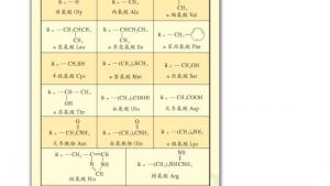 苏教版高三化学-有机化学基础电子课本第二单元 氨基酸 蛋白(第101页)