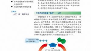 苏教版高一生物必修1（分子与细胞）电子课本生命活动的能量“通货”――ATP(第54页)
