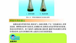 苏教版七年级生物上册(旧版)电子课本-苏教版初一生物上册(旧版)电子课本第四节 植物的呼吸作用(第92页)