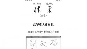 苏教版八年级语文上册电子课本,苏教版初二语文上册电子课本语文实践活动 一次有意义的集体视听活动(第236页)