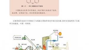 苏教版高二化学与生活电子课本第三单元 生活垃圾的分类处理(第21页)