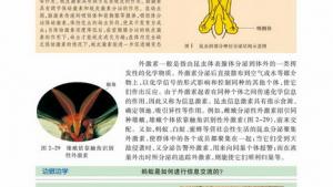 苏教版高二生物必修3（稳定与环境）电子课本第三节 动物生命活动的调节(第38页)