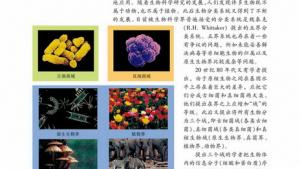 苏教版高一生物必修2（遗传与进化）电子课本生物进化的基本历程生物进化与生物多样性的形成(第110页)