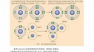 苏教版高一生物必修1（分子与细胞）电子课本组成细胞的原子和分子(第13页)