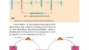 苏教版高二生物必修3（稳定与环境）电子课本水和无机盐的调节(第17页)