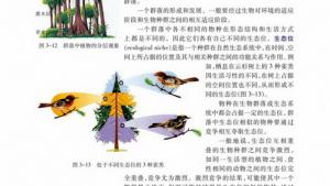 苏教版高二生物必修3（稳定与环境）电子课本群落结构(第64页)