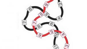 苏教版三年级数学上册(旧版)电子课本11 整理与复习(第113页)