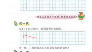 苏教版六年级数学下册(旧版)电子课本3 比例(第39页)