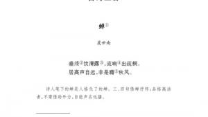苏教版七年级语文下册电子课本-苏教版初一语文下册电子课本诵读欣赏 古诗三首(第145页)