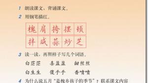 苏教版三年级语文下册电子课本21 槐乡五月(第123页)