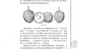 苏教版高三语文必修五电子课本南州六月荔枝丹(第17页)