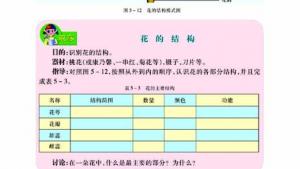 苏教版七年级生物上册(旧版)电子课本-苏教版初一生物上册(旧版)电子课本第五节 植物的开花和结果(第74页)
