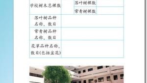 苏教版三年级语文下册电子课本19 放飞蜻蜓(第114页)