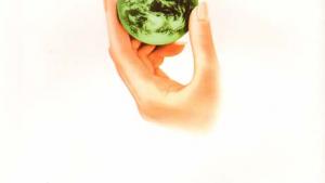 苏教版七年级生物上册(旧版)电子课本-苏教版初一生物上册(旧版)电子课本第三节 绿化，我们共同行动(第118页)