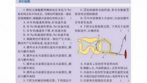 苏教版高二生物必修3（稳定与环境）电子课本人体的激素调节(第34页)