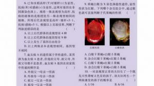苏教版高一生物必修2（遗传与进化）电子课本性别决定和伴性遗传(第41页)