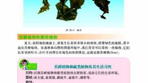 苏教版八年级生物下册(旧版)电子课本-苏教版初二生物下册(旧版)电子课本第二节 五彩缤纷的植物世界(第26页)