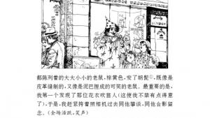 苏教版八年级语文下册电子课本,苏教版初二语文下册电子课本二十八 在联邦德国海姆佗市市长接见仪式上的答词(第239页)