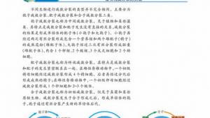 苏教版高一生物必修2（遗传与进化）电子课本生殖细胞的形成(第17页)