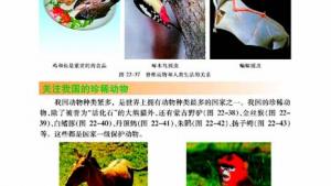 苏教版八年级生物下册(旧版)电子课本-苏教版初二生物下册(旧版)电子课本第三节 千姿百态的动物世界(第42页)