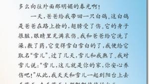 苏教版三年级语文下册电子课本5 雪儿(第27页)