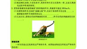 苏教版八年级生物上册(旧版)电子课本-苏教版初二生物上册(旧版)电子课本第一节 定位运动方式的多样性(第52页)