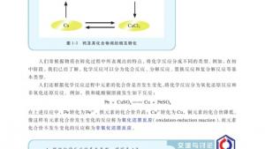 苏教版高一化学1电子课本第一单元 丰富多彩的化学物质(第5页)