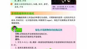 苏教版七年级生物上册(旧版)电子课本-苏教版初一生物上册(旧版)电子课本第二节 多细胞生物体的组成(第45页)