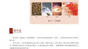 苏教版高二化学与生活电子课本第二单元 提供能量与营养的食物(第56页)