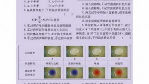 苏教版高一生物必修1（分子与细胞）电子课本酶与酶促反应(第60页)
