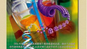 苏教版高一生物必修2（遗传与进化）电子课本第四章 遗传的分子基础(第52页)