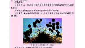 苏教版八年级生物下册(旧版)电子课本-苏教版初二生物下册(旧版)电子课本第四节 神奇的微生物(第49页)