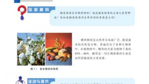 苏教版高三化学-有机化学基础电子课本第一单元 糖类 油脂(第90页)