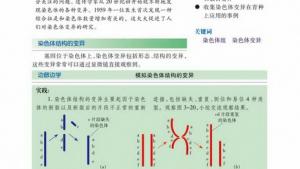 苏教版高一生物必修2（遗传与进化）电子课本第三节 染色体变异及其应用(第43页)